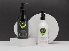 Dandruff and Hair fall Control Kit (Witch Hazel) - 600ml