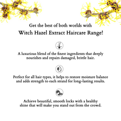 Dandruff and Hair fall Control Kit (Witch Hazel) - 600ml