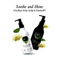 Dandruff and Hair fall Control Kit (Witch Hazel) - 600ml