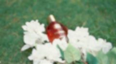 Love & Desire Gift Kit