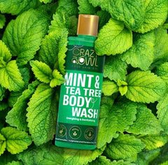 Mint & Mango Body Wash Combo