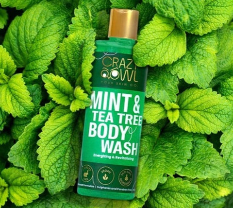 Mint & Tea Tree Body Wash - Energizing & Revitalising