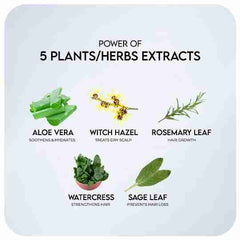 Witch Hazel Extract Shampoo